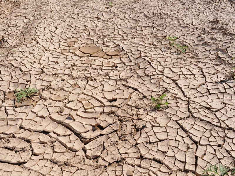 Le réchauffement climatique et son effet sur la santé de chacun