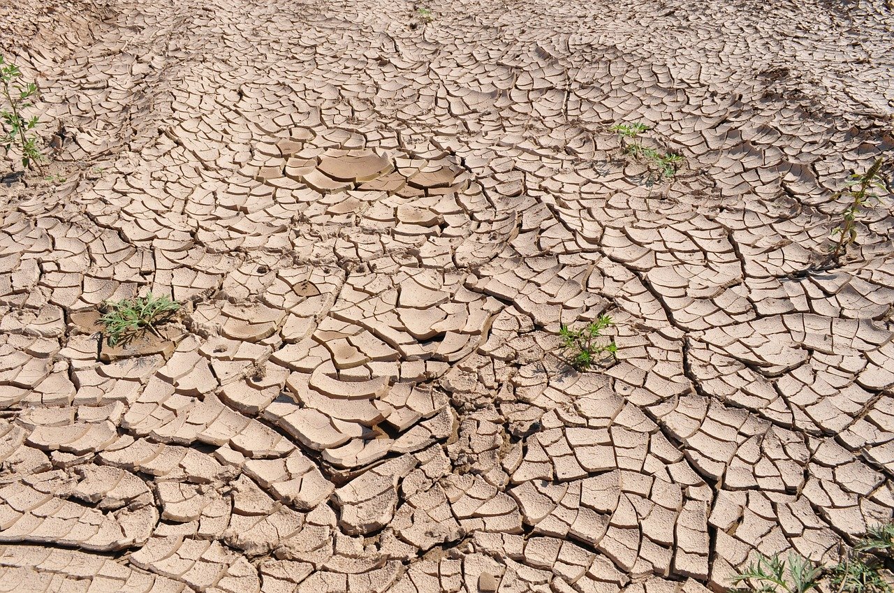 You are currently viewing Le réchauffement climatique et son effet sur la santé de chacun