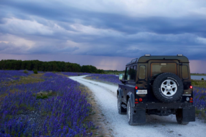 Lire la suite à propos de l’article Petits budgets, grandes aventures : comment economiser intelligemment sur la location de voiture